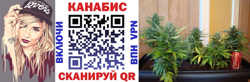 Купить наркотики сайты Сурск Кокаин ГАШИШ Амфетамин Бошки Шишки гидра tor A-PVP