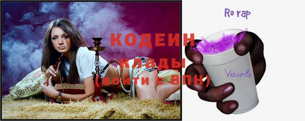 гашик Краснослободск