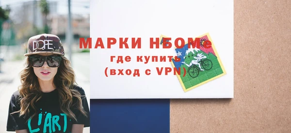 гашик Краснослободск