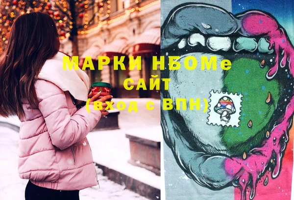 гашик Краснослободск