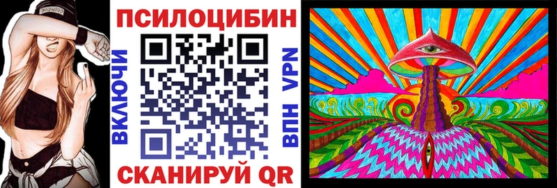 блэк спрут как зайти  Сурск  Псилоцибиновые грибы GOLDEN TEACHER 